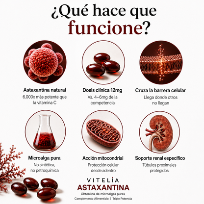 Astaxantina 12mg: El antioxidante más potente de la naturaleza